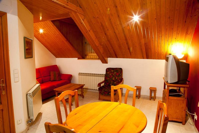 Apartamentos Mazcaray Bielsa Room photo